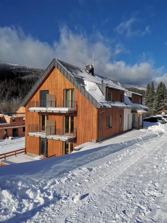 Apartman Pod Sjezdovkami Dolní Morava 외부 사진